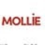 MollieFashion